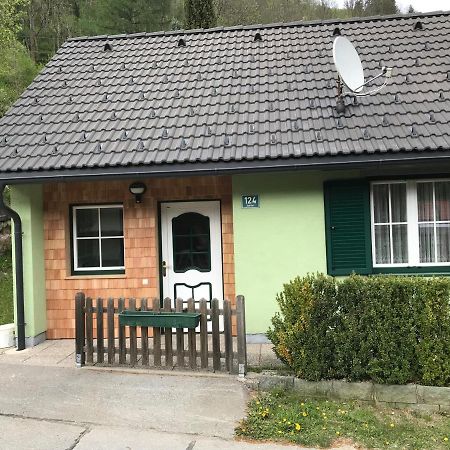 Ferienhaus Stolz Sankt Peter am Kammersberg Екстериор снимка
